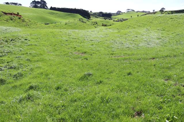 Lt2/310 Henwood Road Bell Block_1