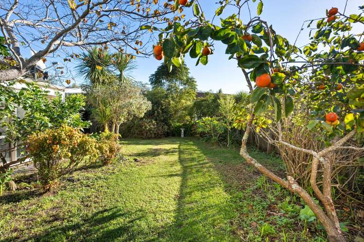 13 Wicklow Road Narrow Neck_9