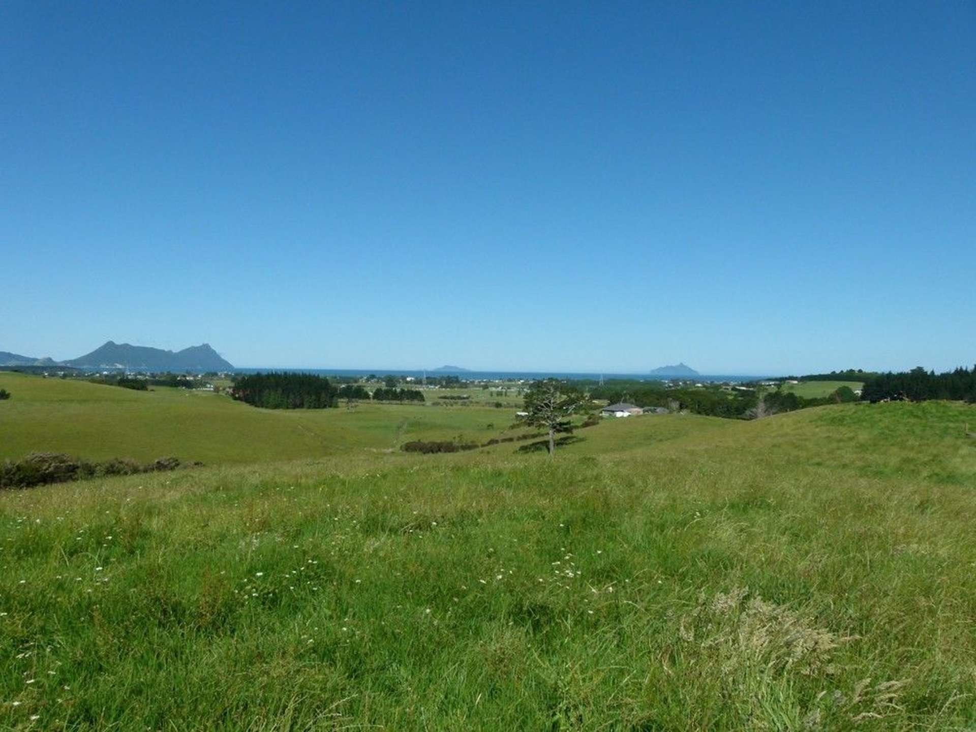 171 Prescott Road Ruakaka_0