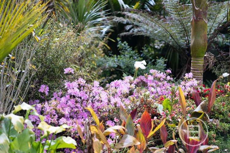 127 Mahoenui Valley Road Coatesville_25