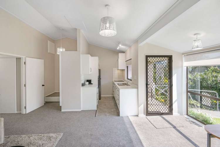 11/196 Vigor Brown St Napier South_10