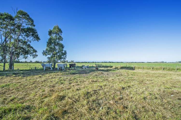 412 Drain Road Doyleston_21