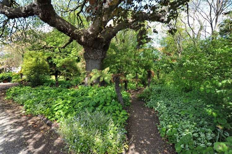 8 Lincoln Road Hillmorton_29