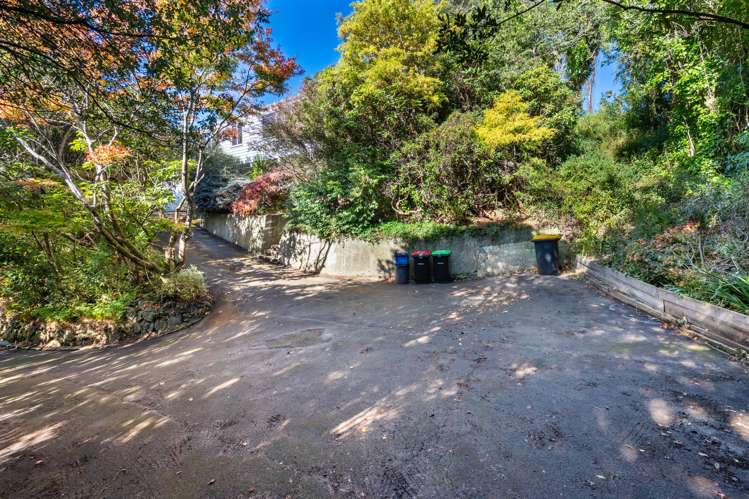 61 Braeview Crescent Maori Hill_23