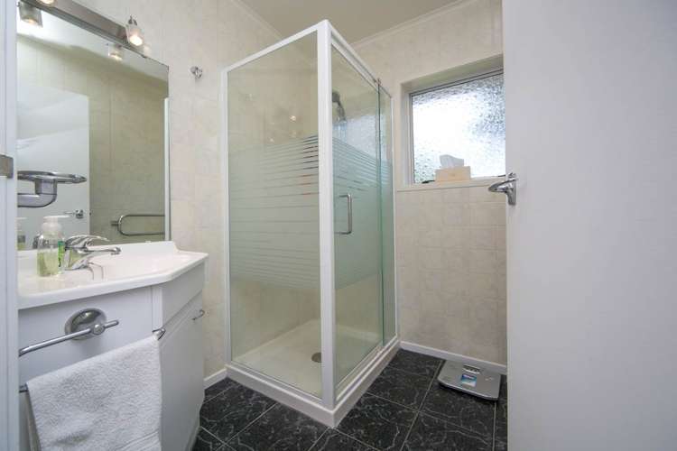 8 Palm Court Drive Glen Eden_6