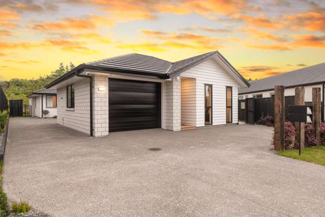 105 Whakaturou Crescent Pyes Pa_1