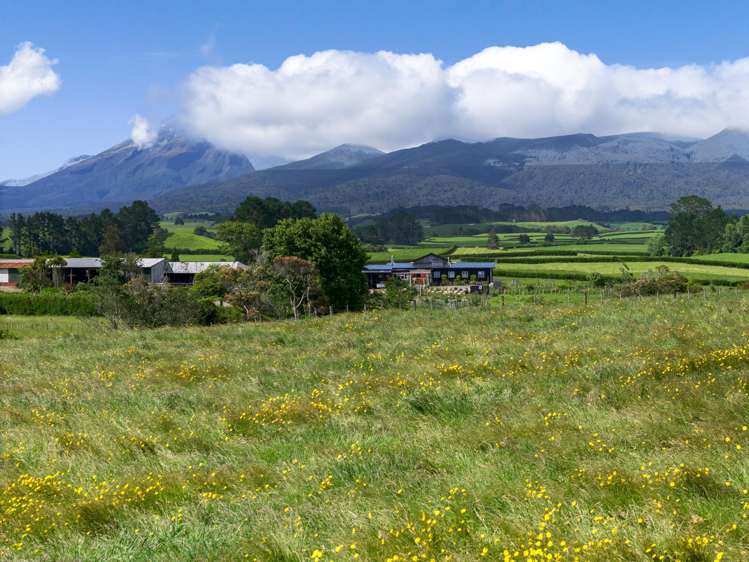 Lot 1 Mangorei Road_3