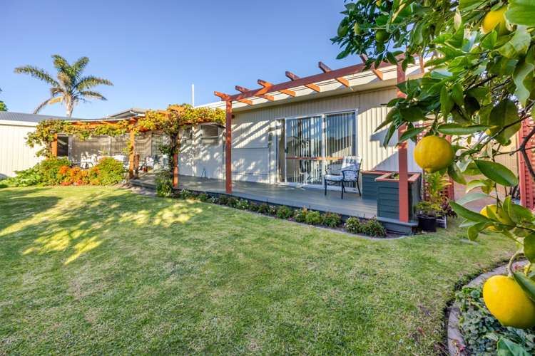 104 Freyberg Avenue Tamatea_23