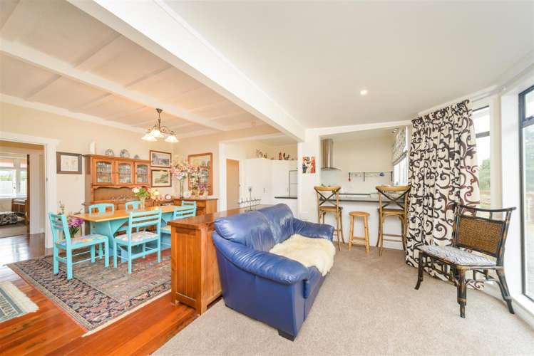 60 Johnson Street Bulls_25