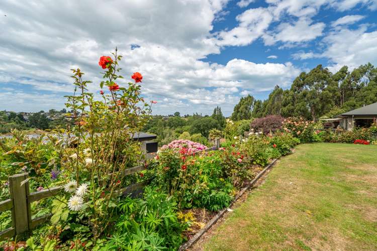 53 Nikau Place Highfield_15