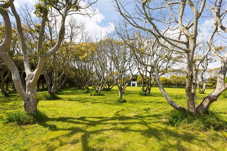 106 Airport Drive New Plymouth Airport_8