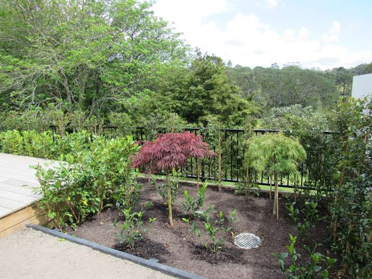 54b Aberdeen Road Campbells Bay_13