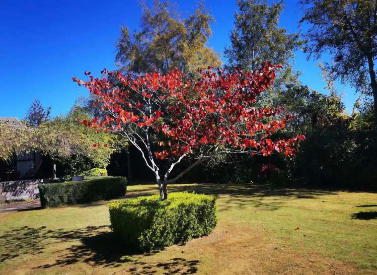 14 Glen Mohr Acacia Bay_9