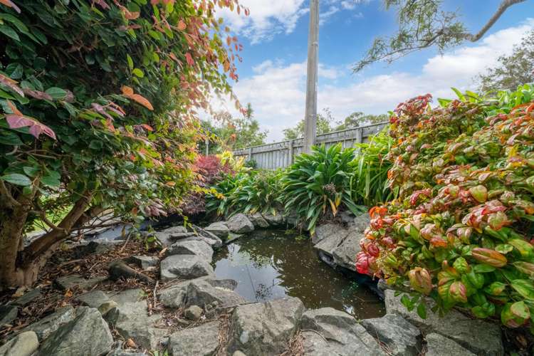 64 Taylor Terrace Tawa_15