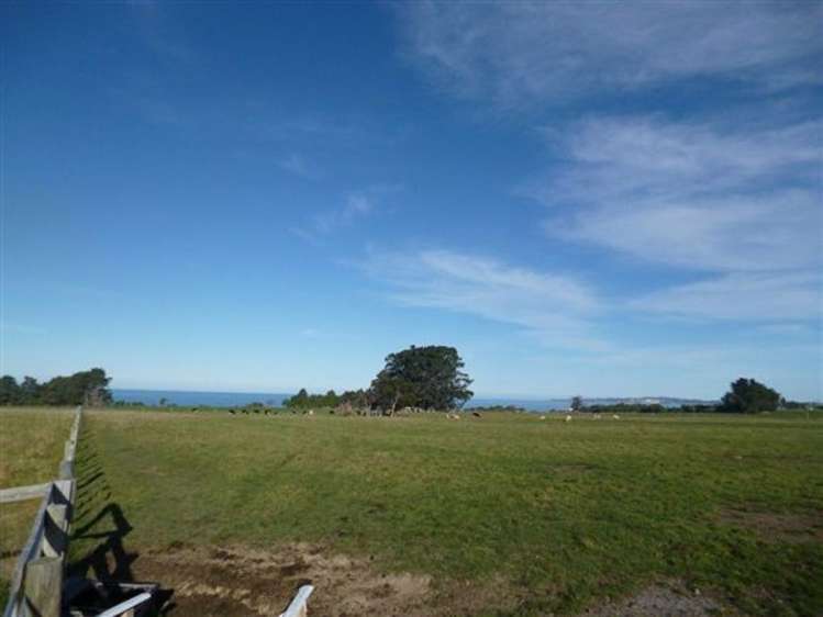 20d Kanuka Lane Hapuku_2