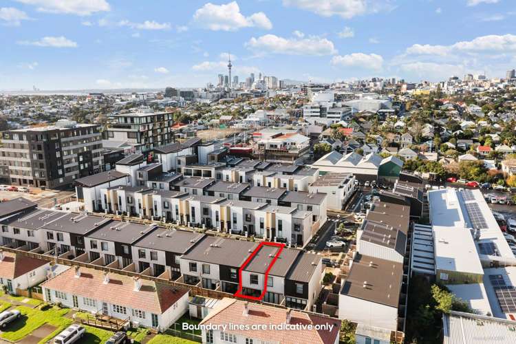 31 Hadlow Terrace Grey Lynn_11