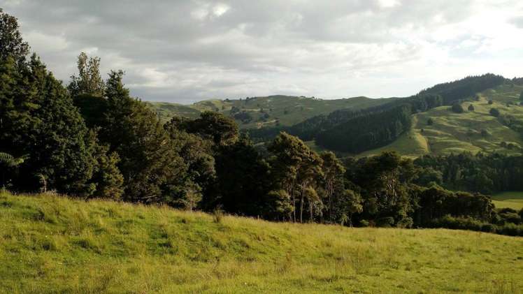 521c Horeke Road Okaihau_17