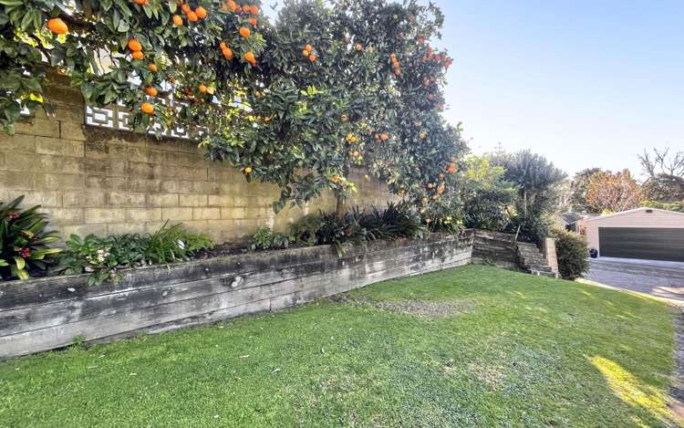 134a Cameron Road Te Puke_18