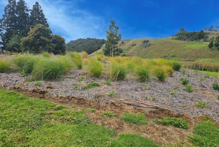 169a Millington Road Maunu_23