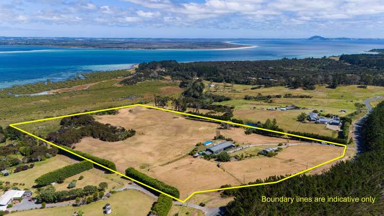 353 Rangiputa Road Karikari Peninsula_97