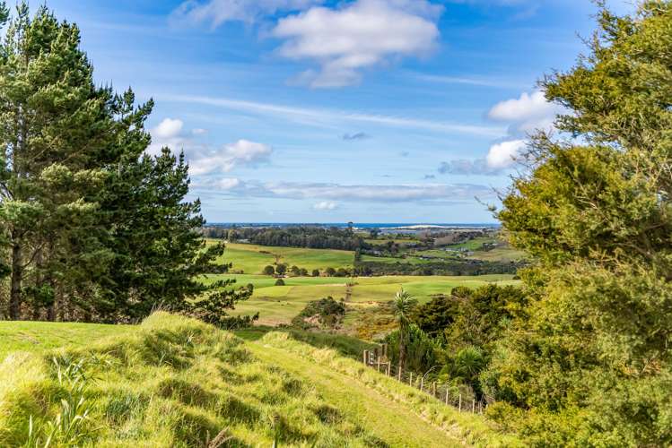 2/115 Lawrence Road Mangawhai_9