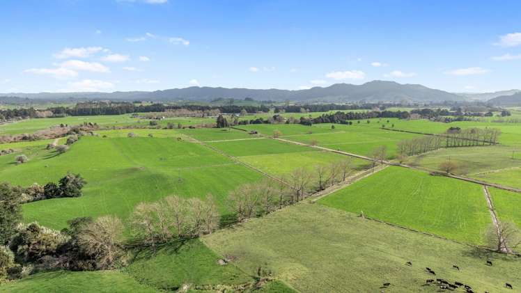 291 Waring Road Taupiri_44