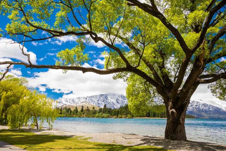 5/70 Lake Esplanade Queenstown_13