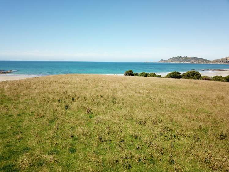 290 The Nuggets Road South Otago Coastal_5