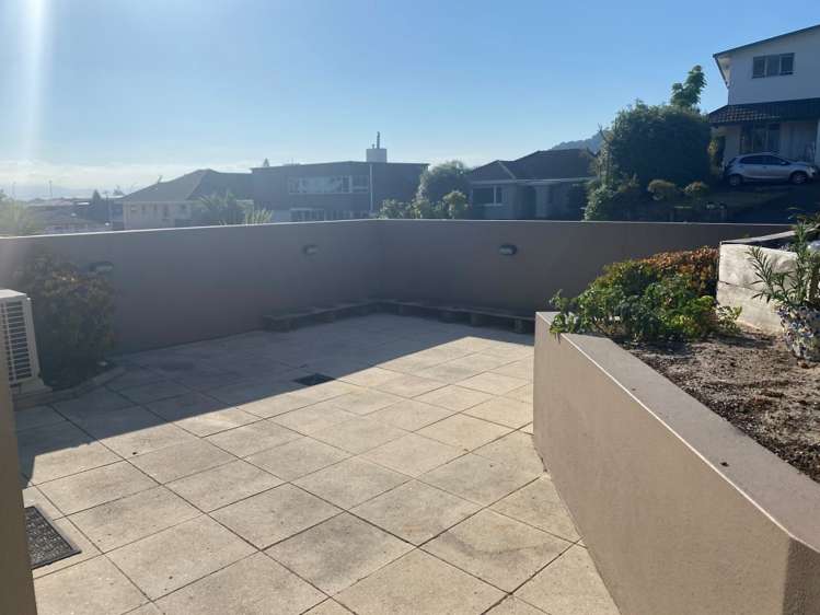 24A Terrace Avenue 11229_21