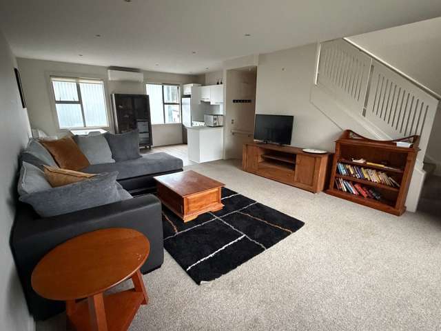 Easy Care Pandora-Ahuriri Apartment