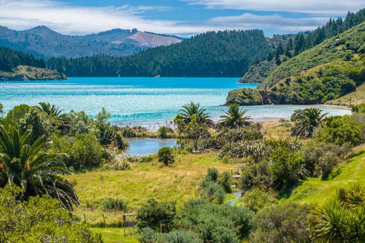 528 Oyster Bay Marlborough Sounds_39