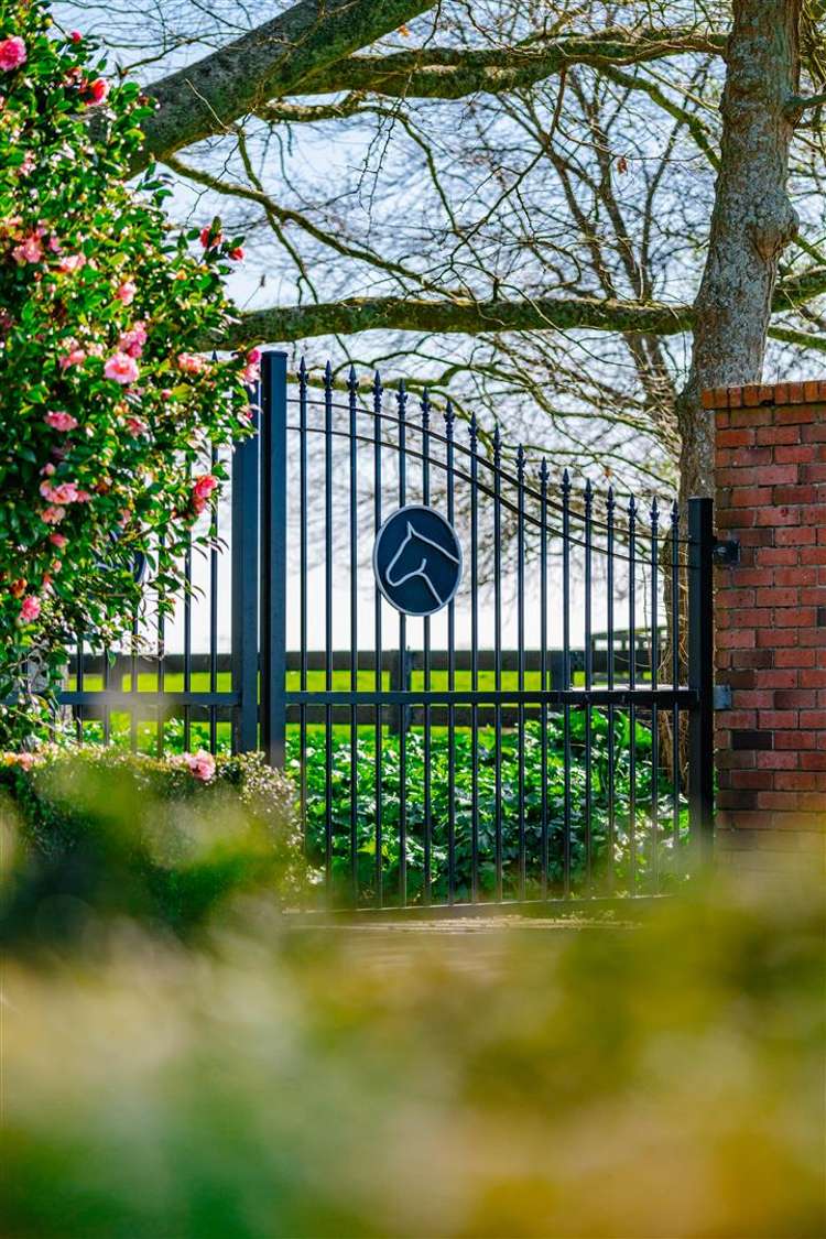 122 Rotoorangi Road Cambridge_41