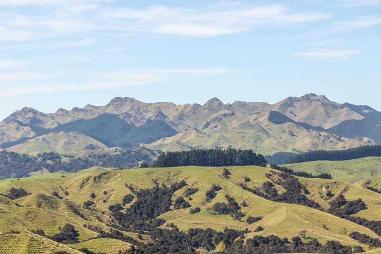 57 Admiral Station Road Gladstone_49