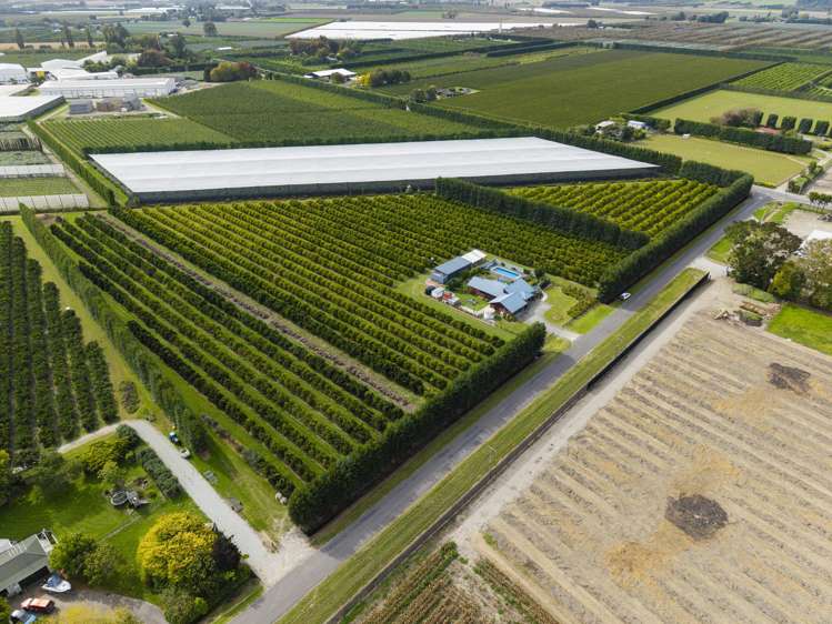 18 Jackson Road Waerengaahika_1