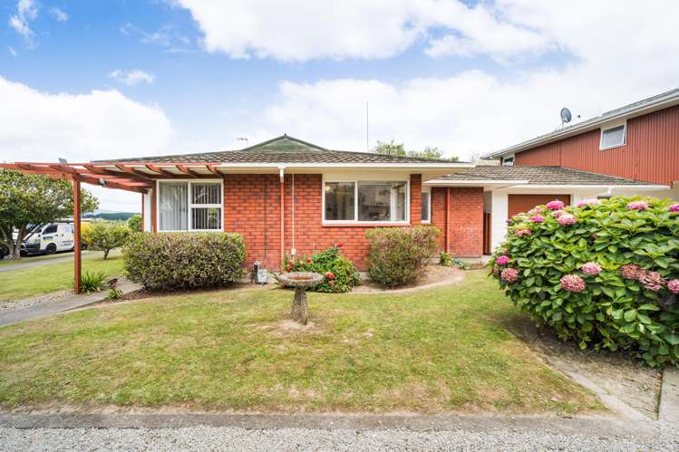 45 Dittmer Drive Awapuni_17