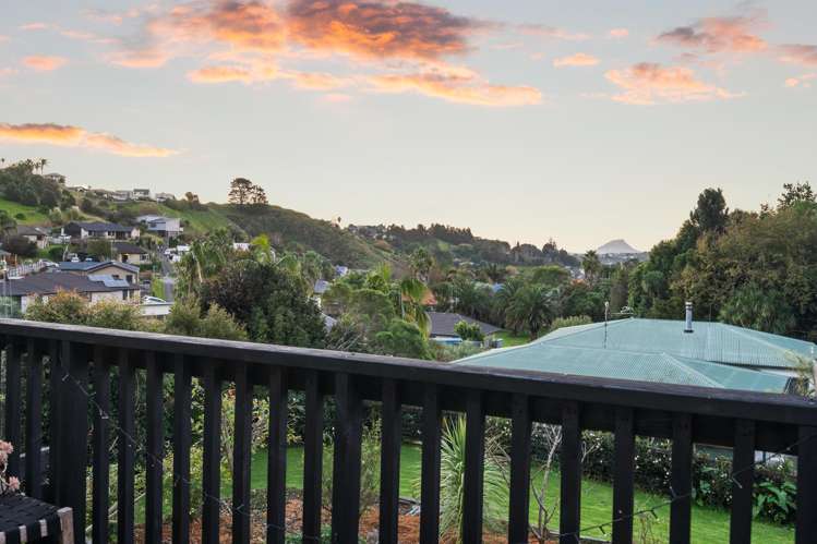 223 Waitaha Road Welcome Bay_16