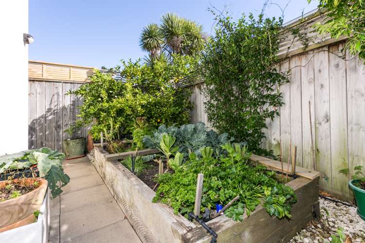 177 Waghorne Street Ahuriri_17