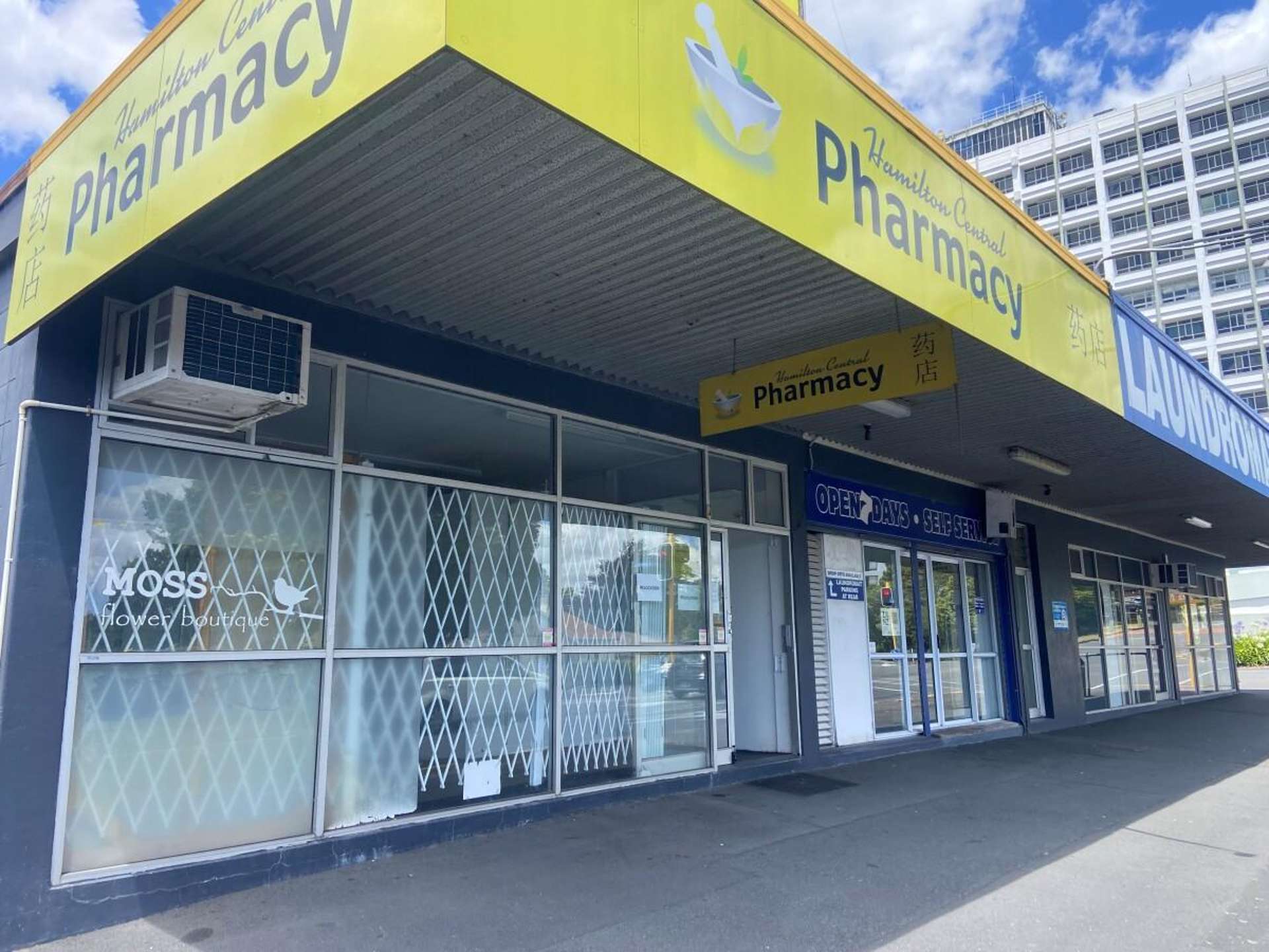 131 Pembroke Street Hamilton City Central_0