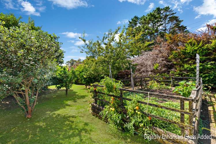 112D Findlay Road Patumahoe_30