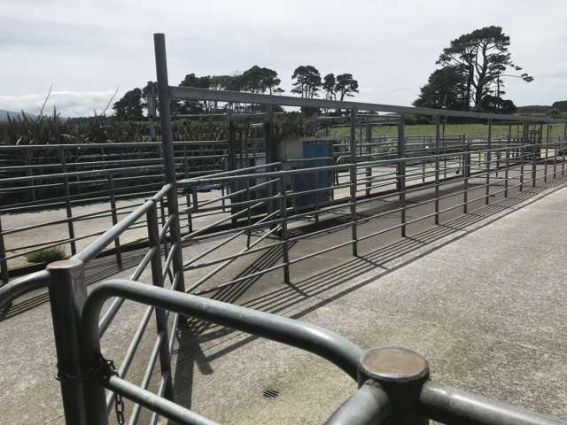 1703 Eltham Road Riverlea_4