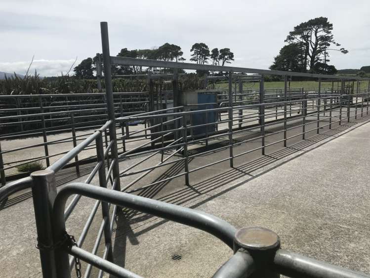 1703 Eltham Road Riverlea_4