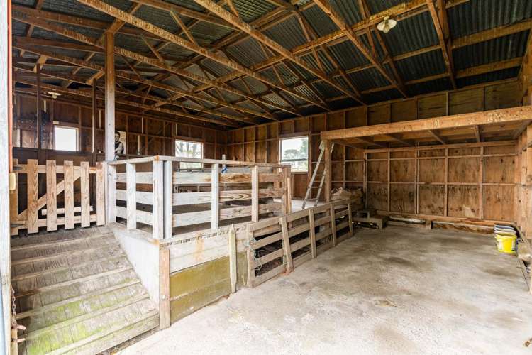 6B Tangowahine Valley Road Dargaville Surrounds_21
