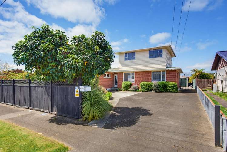 3 Armagh Street Levin_42