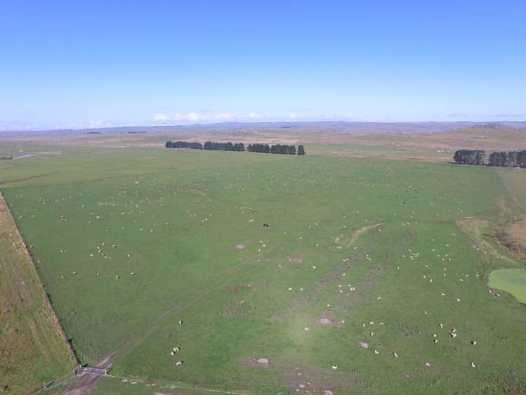 378 Harcus Road Middlemarch_3