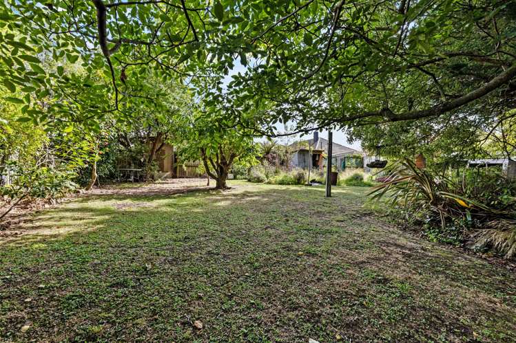 15 Bond Street Waltham_11