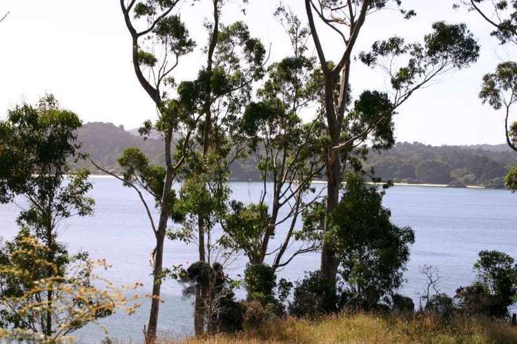 136 Elgin Terrace Stewart Island/Rakiura_6