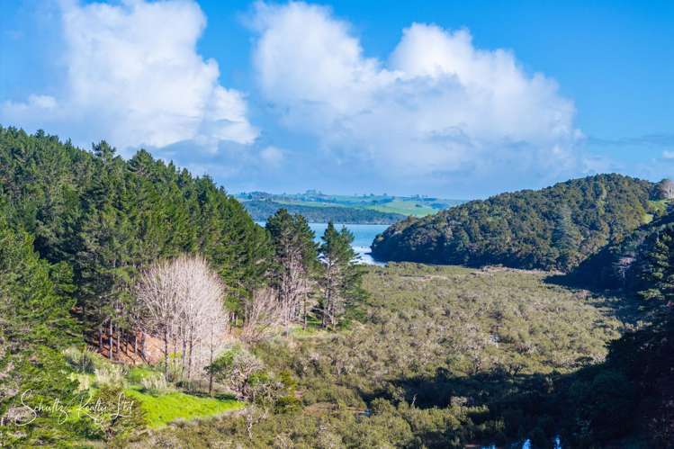 Massey Road Maungaturoto_32