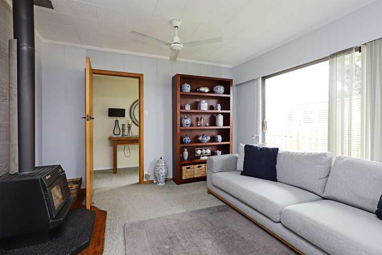 29 Alexander Avenue Onekawa_7