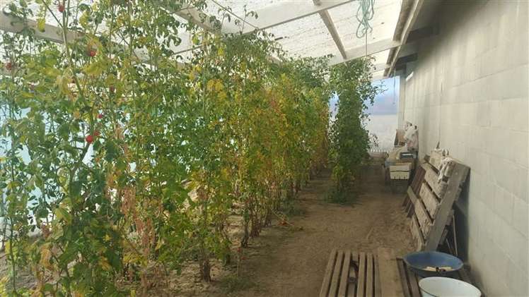 582 Lower Sefton Road Sefton_18