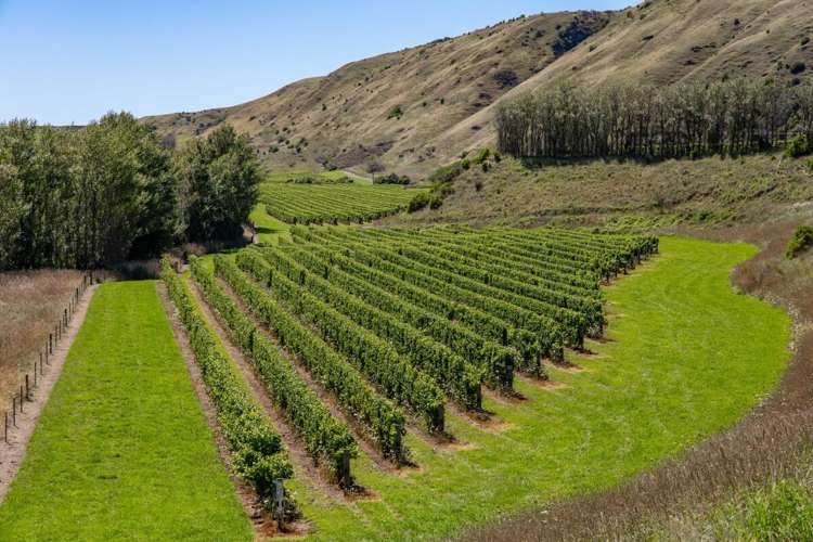 Seaview Road Seddon_13